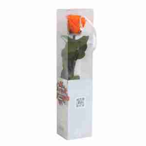 Rosa Preservada Naranja 27cm