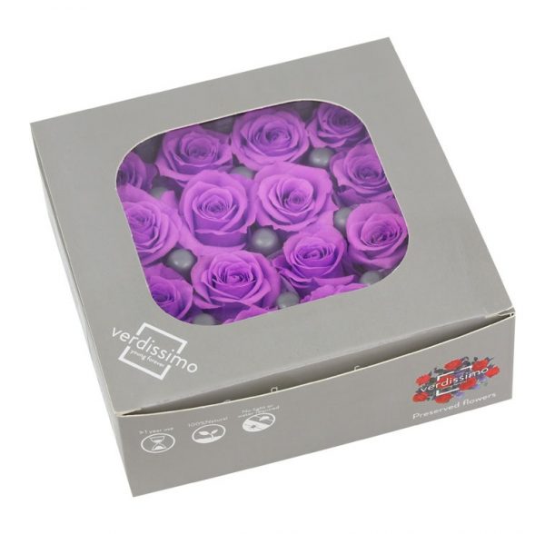 Caja Bright Lilac x16