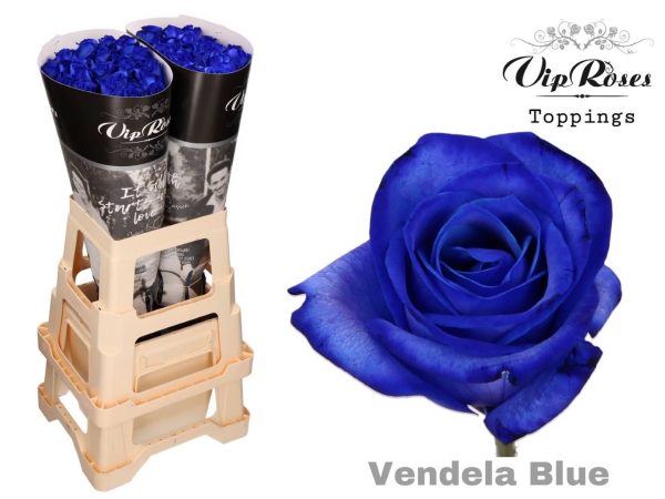 Rosa Vendela Azul